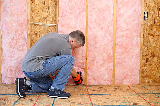 Best Insulation Installation Services in Arlington, TX